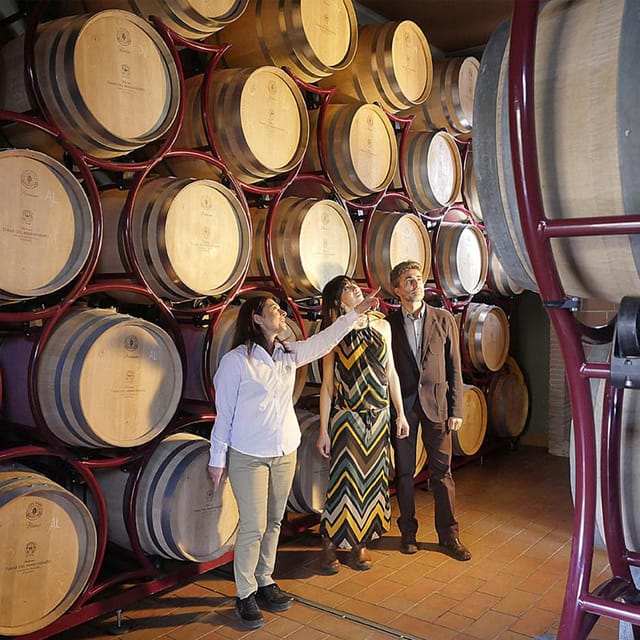 Bolgheri: Vertical Wine-Tasting at Terre Del Marchesato - Wine Tasting Options