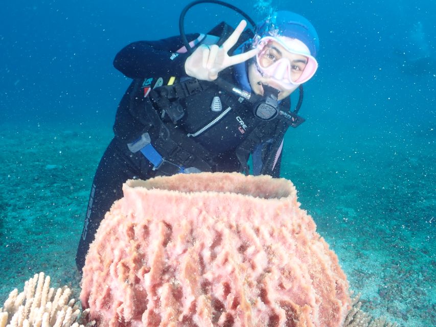 Boracay: Introduction to Scuba Diving Experience - Lasting Memories