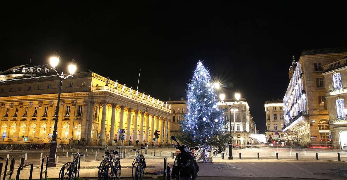 Bordeaux: Tour With Private Guide - Inclusions and Exclusions