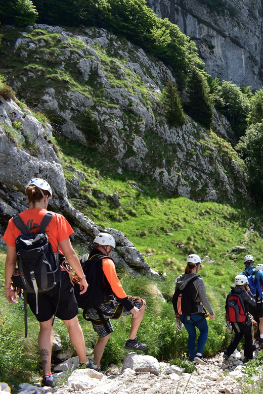 Bovec: Panoramic Zipline Tour - What Participants Need to Know