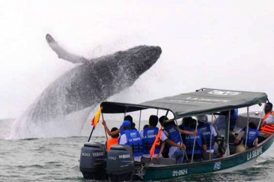 Buenaventura: Pacific Coast Whale Watching Tour - Additional Tour Options