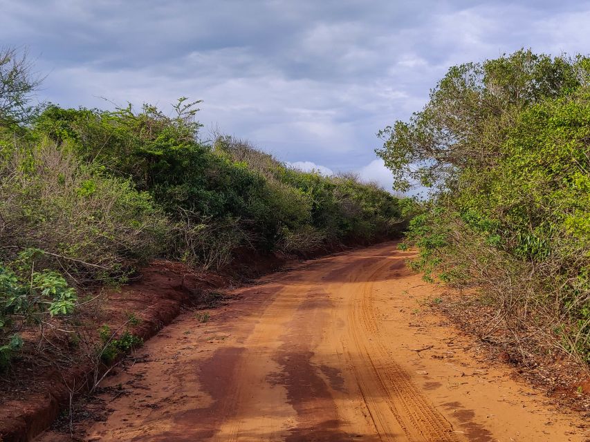 Bundala National Park: 3-Hour Morning or Evening Safari - Inclusions and Requirements