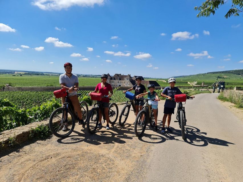 Burgundy: Fantastic 2-Day Cycling Tour With Wine Tasting - Wine Tasting Highlights