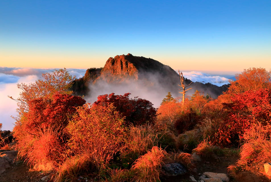 Busan: Mt. Jiri or Juwangsan National Park Fall Colors Tour - Inclusions and Transportation