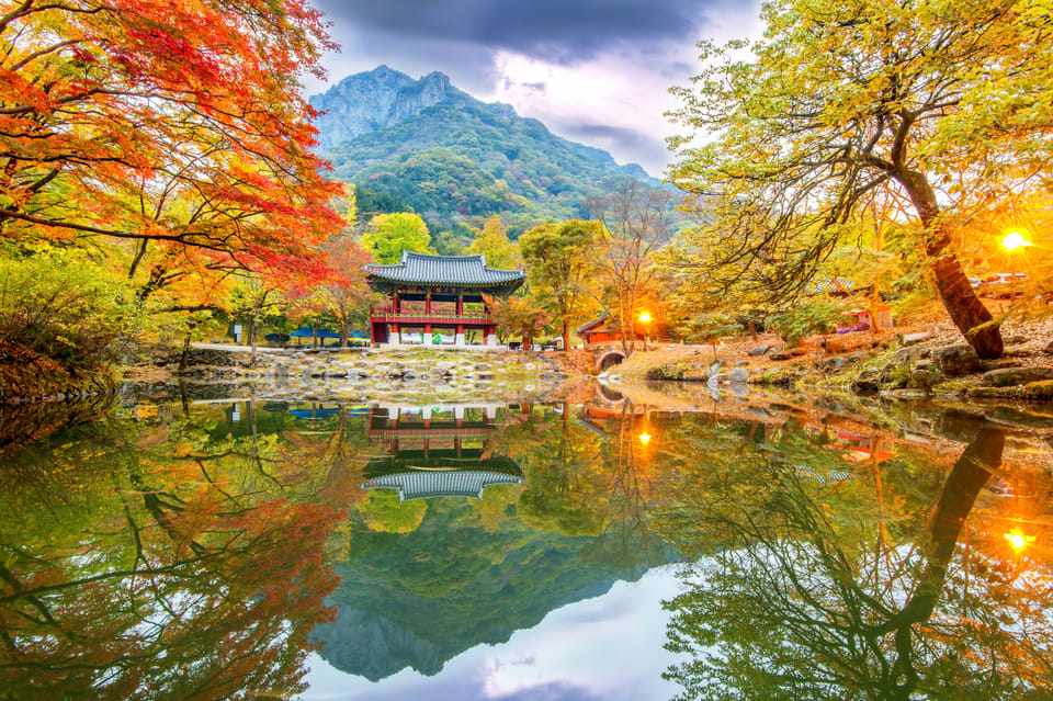 Busan: Naejangsan National Park Autumn Foliage One Day Tour - Inclusions and Requirements