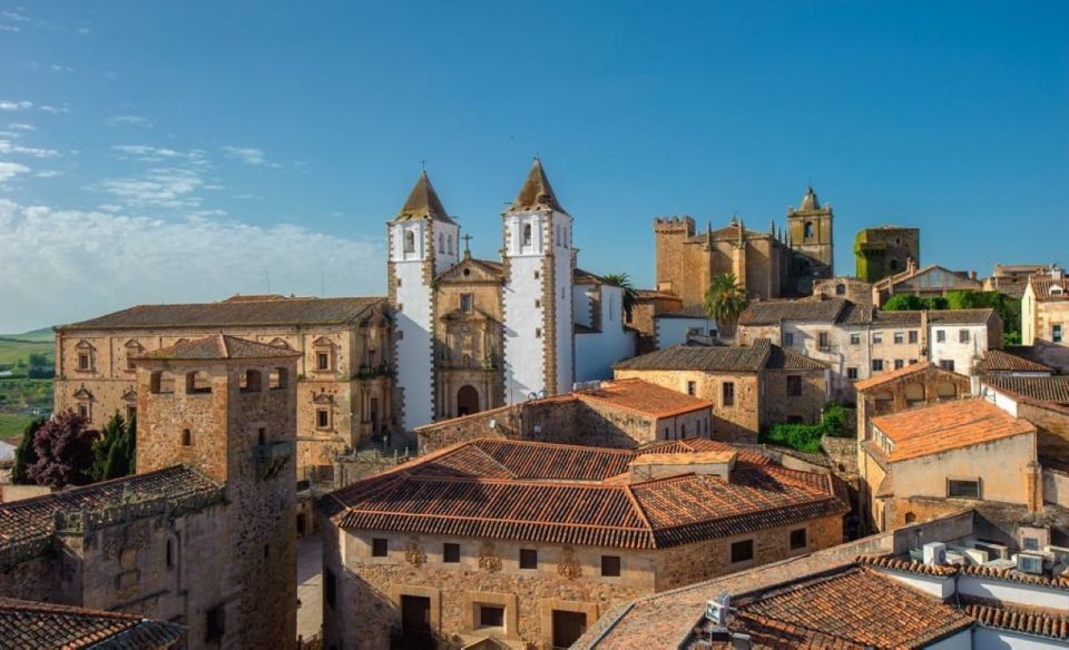 Caceres: City Highlights Private Guided Walking Tour - Experienced and Knowledgeable Guide