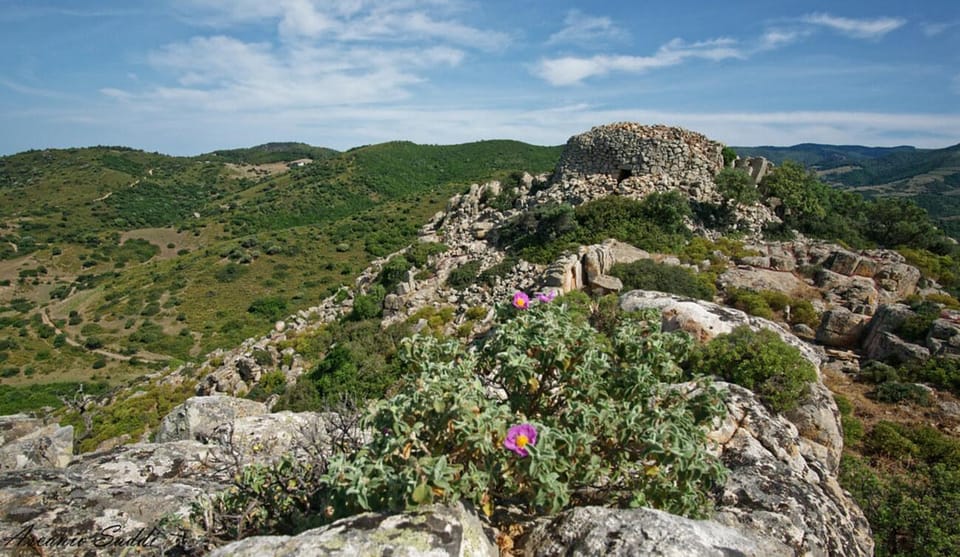 Cagliari: Traditional Cheese Making From Chia - Hands-On Participation