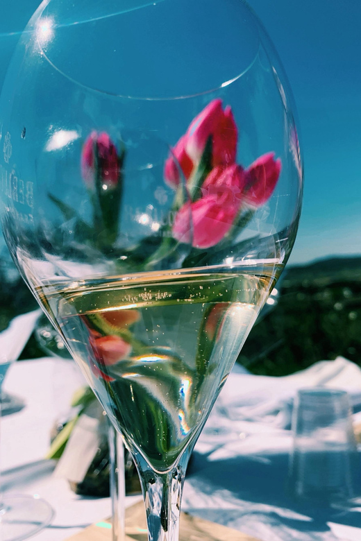 Cagliari: Wine Tasting Experience With a Sommelier - Participant Guidelines