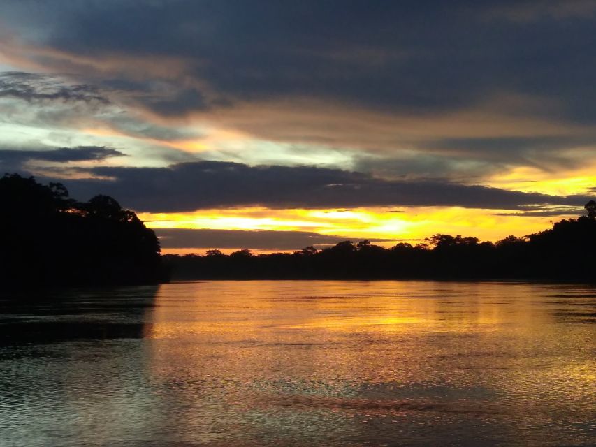 Caimans and Capybaras Search on the Tambopata River - Detailed Itinerary