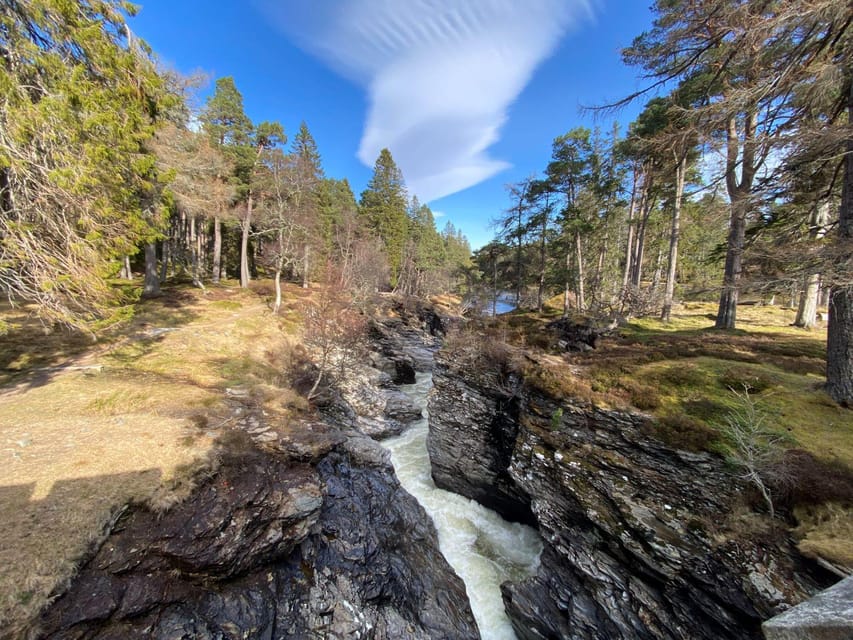 Cairngorms National Park: Mar Lodge Estate Guided Tour - Wildlife and Nature