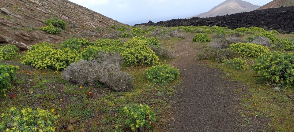 Caldera Blanca: Hiking Through the Wild Beauty of Lanzarote - Positive Customer Feedback