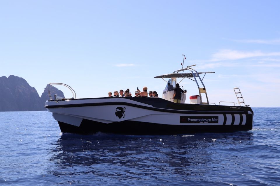 Calvi to Scandola: 4-Hour Boat Tour - Customer Feedback