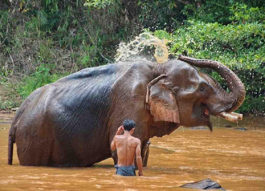 Cambodia Elephant Sanctuary and Banteay Srey Temple Tour - Tour Inclusions