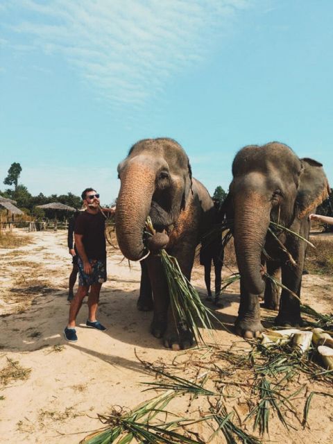 Cambodia Elephant Sanctuary and Banteay Srey Temple Tour - Cambodia Elephant Sanctuary