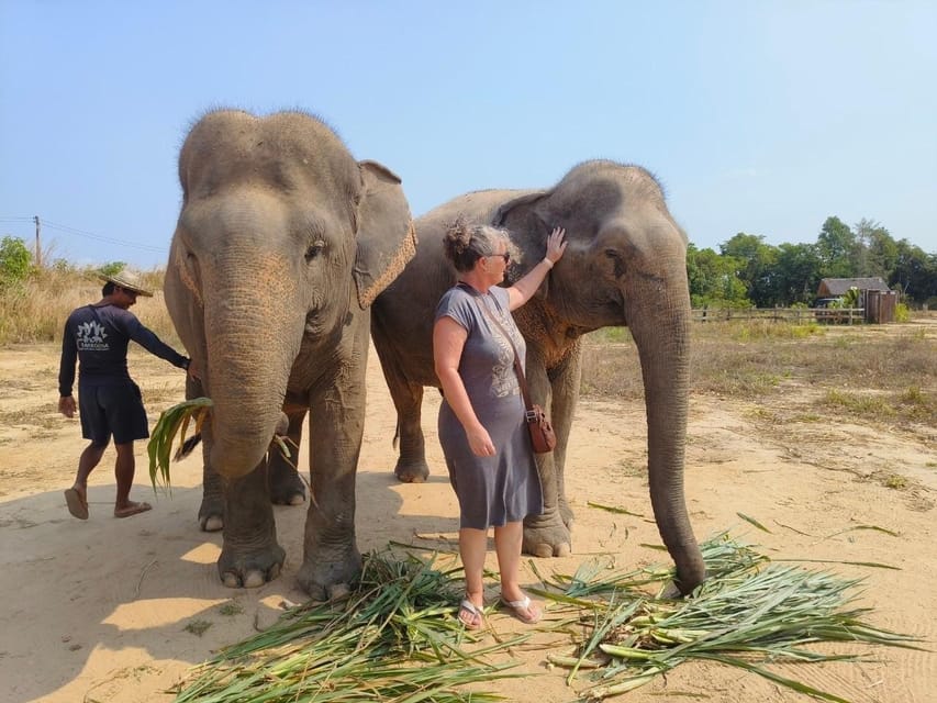 Cambodia Elephant Sanctuary, Pickup and Drop off Included - Included Amenities