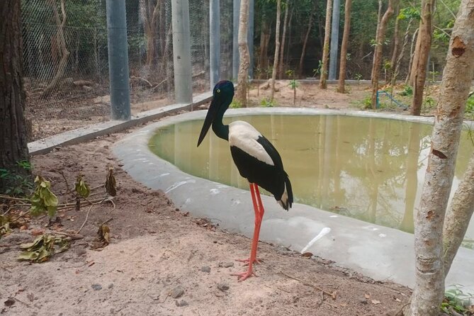 Cambodia Wildlife Sanctuary and Countryside Tour - Participation Requirements