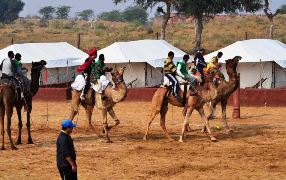 Camel Safari Day Tour From Jodhpur - Camel Safari Experience