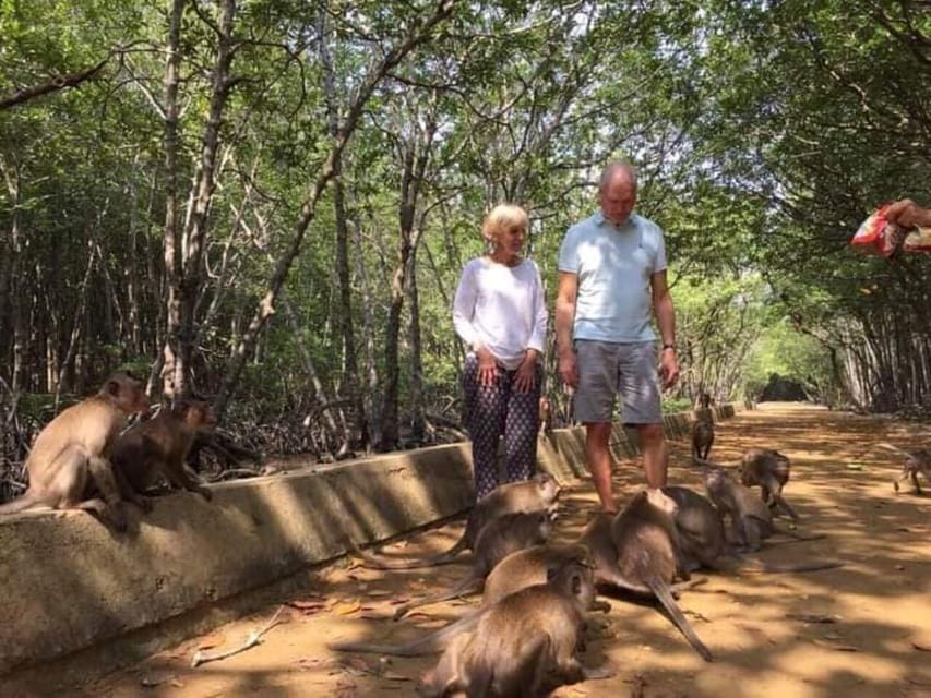 Can Gio Mangrove Forest and Monkey Island Full Day Tour - Inclusions of the Tour