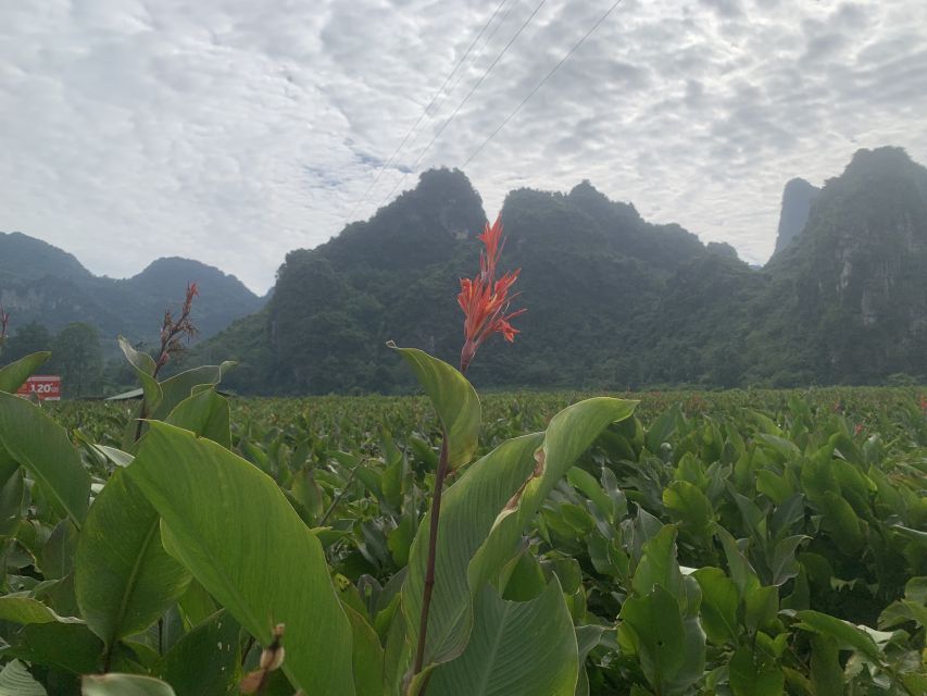 Cao Bang & Ban Gioc Waterfall Day Tour by Motorbike - Unique Tour Experience