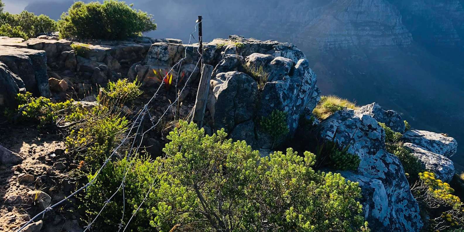 Cape Town: Lions Head Guided Hike With Mountain Goat Guides - Preparation and Requirements