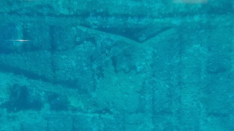 Capo Rizzuto: Explore Seabed With an Underwater Vision Boat - Detailed Itinerary
