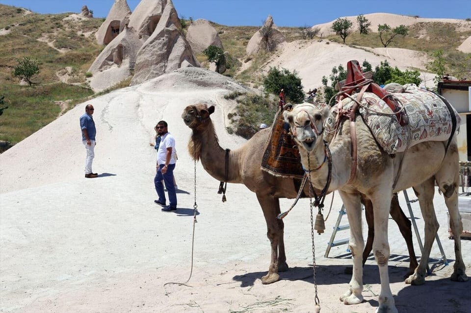 Cappadocia Camel Ride Among the Fairy Chimneys - Tour Features and Inclusions