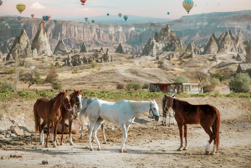 Cappadocia: Sunset Horseback-Riding Tour - Customer Feedback