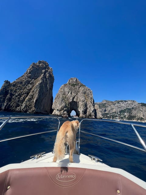 CAPRI: DAILY TRIP WITH FREE TIME IN THE ISLAND - Customer Feedback