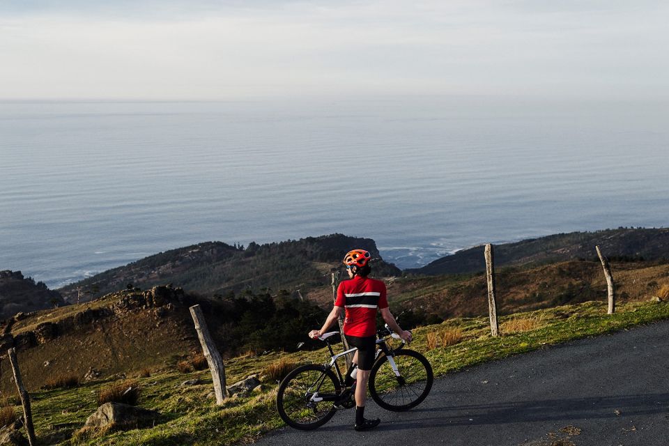 CARESSING the SEA Road Cycling Guided Tour. - Cycling Through Vineyards