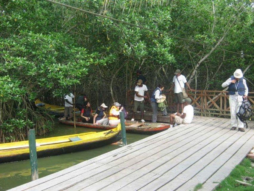 Cartagena, Colombia: Sail in the Mangroves of Cartagena - Wildlife and Nature Spotting