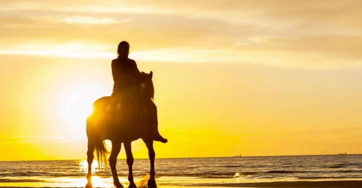 Cartagena: Horseback Riding on the Beach at Sunset - Essential Information for Riders