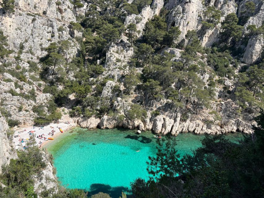 Cassis: Calanques National Park Standup Paddleboarding Tour - Encounter Marine Life