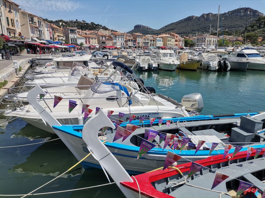 Cassis Wine Tour: Sea, Cliffs and Vineyards - Guided Tour Features