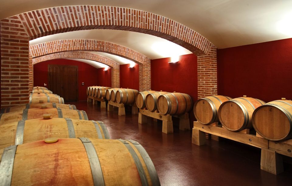 Castile and León: Vineyard Tour With Wine Tasting - Participant Information