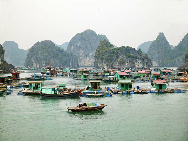 Cat Ba Island Day Trip From Ha Long City - Inclusions and Exclusions