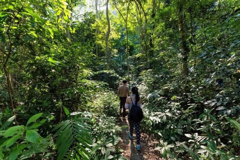 Cat Ba National Park Adventure Tour With Cycling, Trekking - Trekking Details