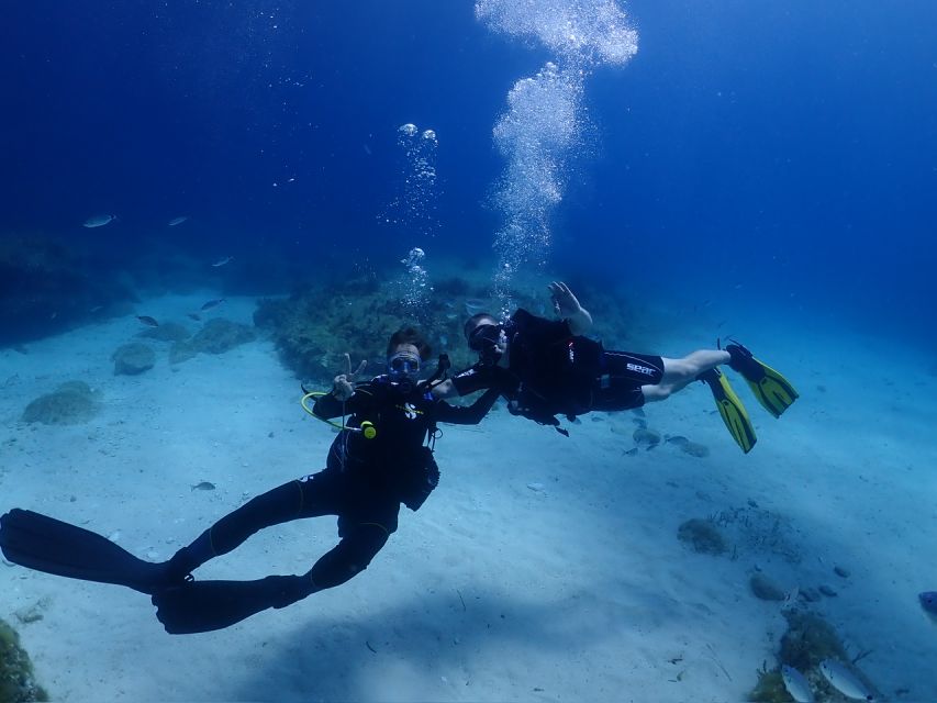 Cebu: Boat Diving Two Dive Tour in Olango Island - Participant Restrictions