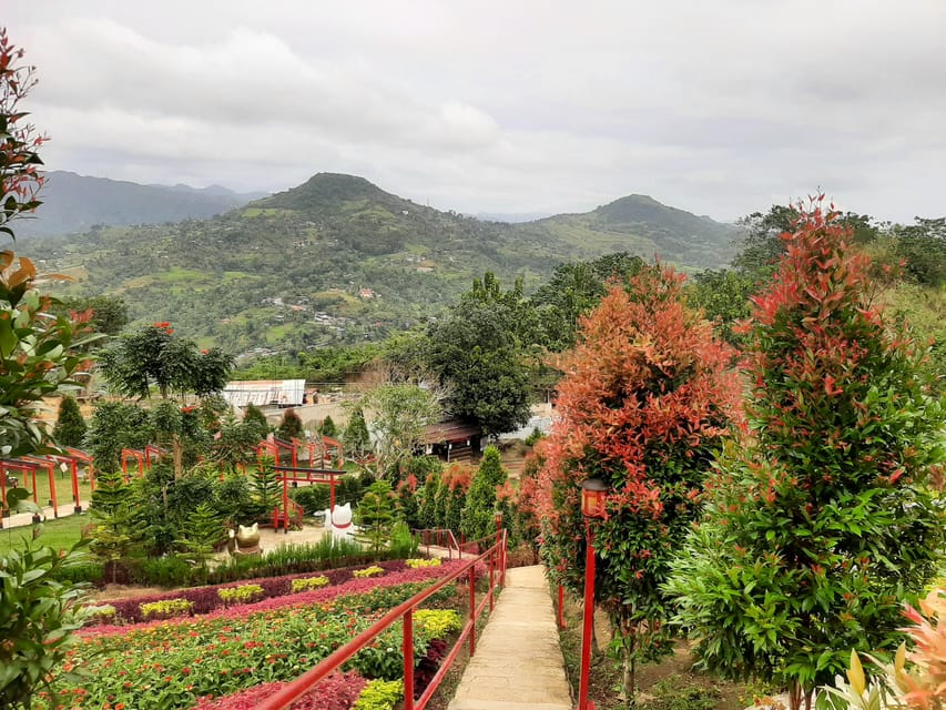 Cebu: Cultural Gems Guided Tour With 10,000 Roses - Participant Guidelines