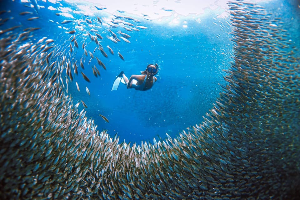 Cebu: Osmeña Peak Hike and Sardines Run Snorkel Adventure - Inclusions and Equipment