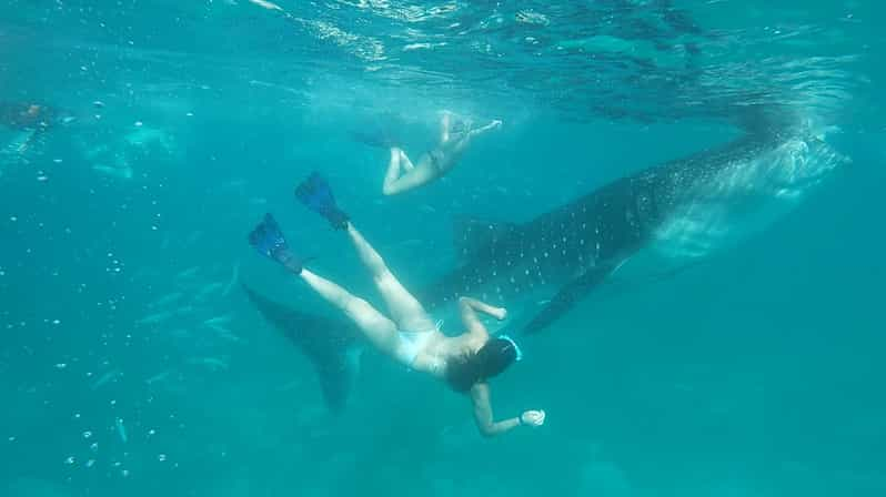 Cebu Shared Tour: Whaleshark Swimming & Kawasan Canyoneering - Break Time Activities