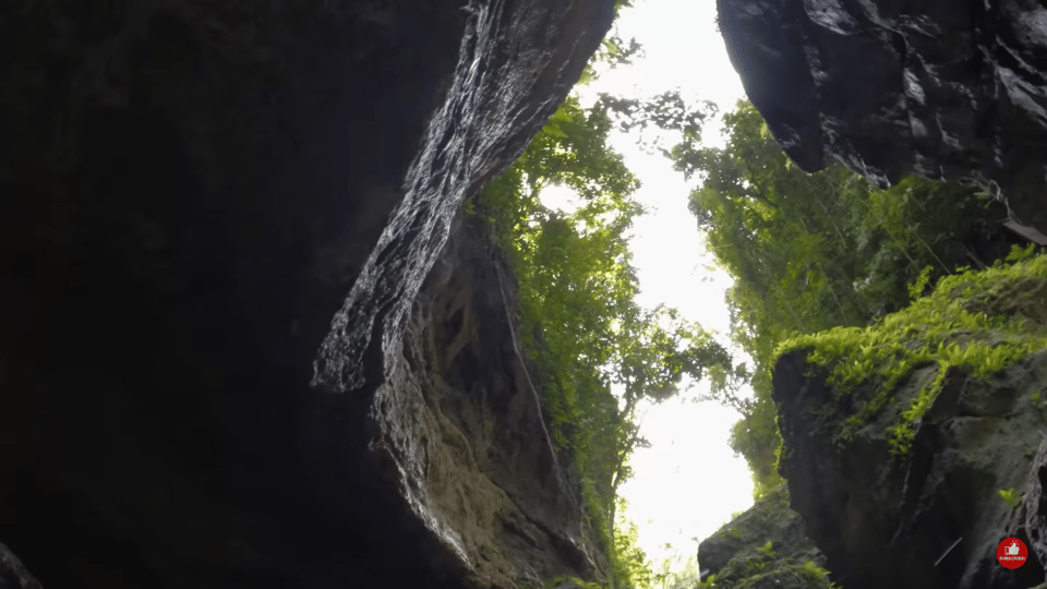 Cebu: Shared Tours Oslob Whale Shark and Canyoneering - Important Considerations