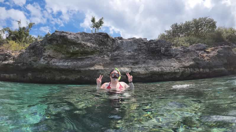 Cebu: Whale Shark & Moalboal Island Hoping - Snorkeling in Moalboals Coral Reefs