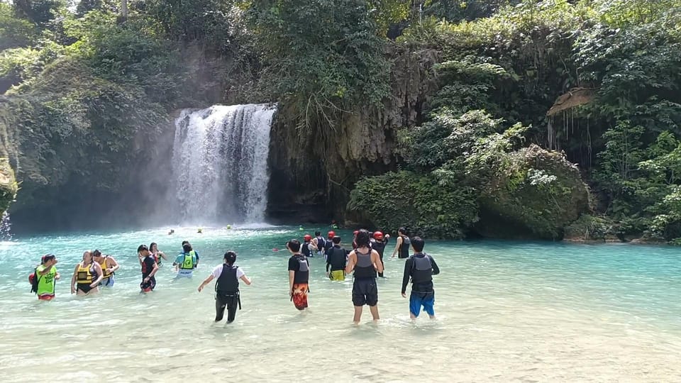 Cebu: Whale Shark Swim and Kawasan Canyoneering Group Tour - Whale Shark Experience