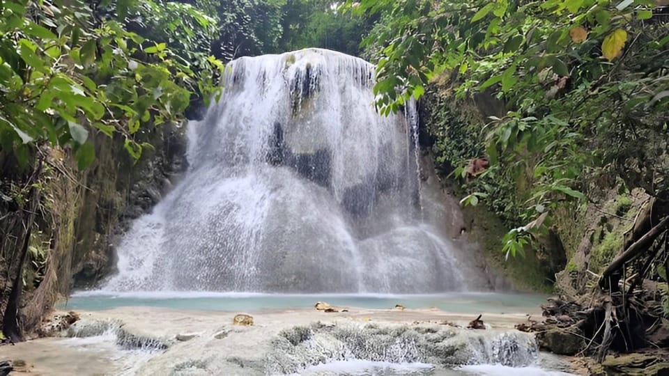 Cebu: Whale Shark Swim in Oslob & Aguinid Falls Canyoneering - Whale Shark Watching