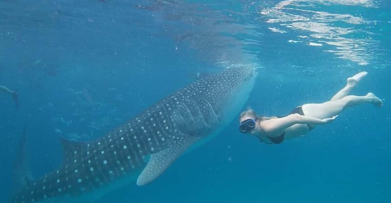 Cebu: Whaleshark Encounter, Tumalog Falls, & Monkey Viewing - Visiting Tumalog Falls