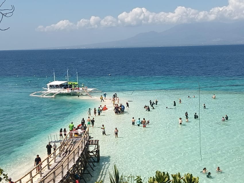 Cebu: Whaleshark Watching, Sumilon Island, and Moalboal… - Inclusions and Exclusions