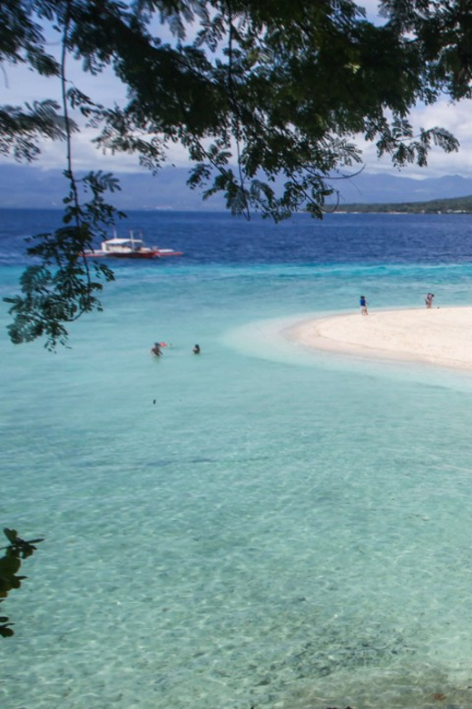 Cebu Whaleshark, White Sand Beach Sumilon Island and Falls - Important Considerations