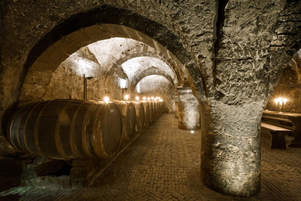 Cellar Explorer Tour - Oldest Wine Cellar in Germany - Highlights of the Experience