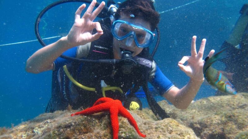 Cesme: Scuba Diving Experience - Whats Included