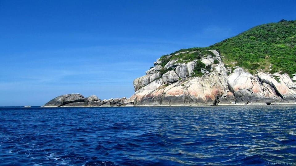 Cham Island on a Speedboat Snorkeling Tour From Da Nang - Snorkeling and Marine Life